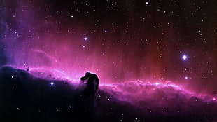 pink and black galaxy wallpaper, stars, space, Horsehead Nebula, nebula