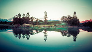 body of water, lake, reflection, trees, nature