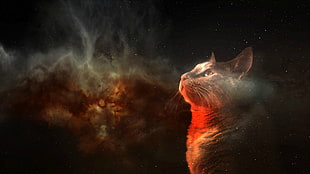 brown tabby cat looking upward graphic wallpaper, cat, space, digital art, animals