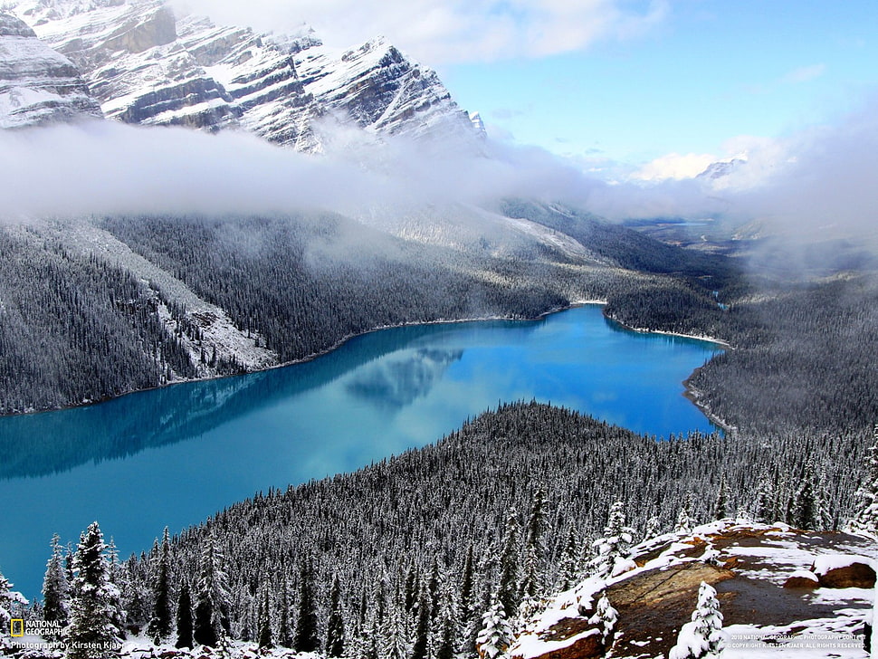 bird eye view of alps mountain and river HD wallpaper