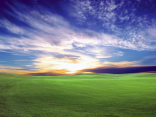 green grass field during sunset HD wallpaper