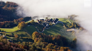 aerial photography of village on hill near trees at daytime