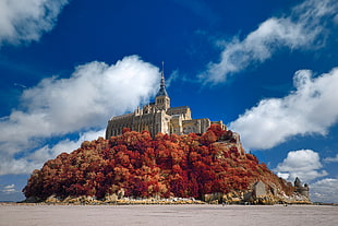 panorama photography of brown castle above hill covered with red leafed trees, mont saint-michel
