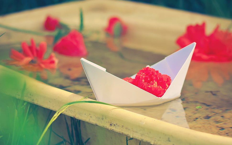white paper boat on table focus photography HD wallpaper