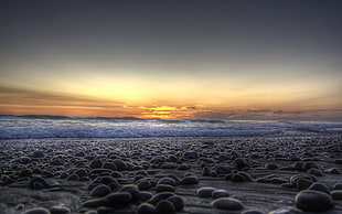 stone fragments on beach shore under sunset