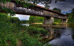 brown and gray wooden bridge, landscape, nature, river, bridge HD wallpaper