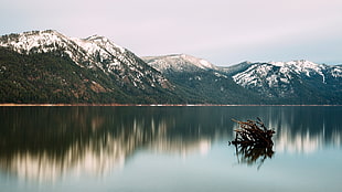 white and green snow and trees covered mountain near on body of water under white sky at daytime