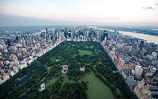 Central Park, New York, Central Park, New York City, cityscape, park