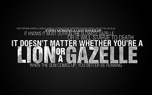 lion or a gazelle quote sign, quote, inspirational, typography