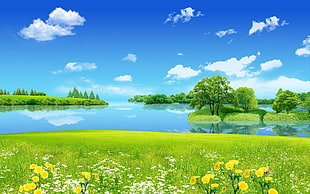 grass covered field near the lake during day HD wallpaper