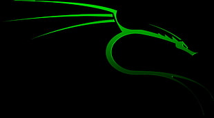 green dragon illustration, Kali Linux, Kali Linux NetHunter, Linux HD wallpaper