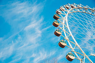 low-angle photography of brown and white ferris wheel during daytime