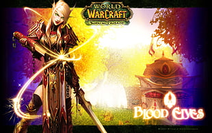 World of Warcraft digital wallpaper, Warcraft, video games, World of Warcraft HD wallpaper