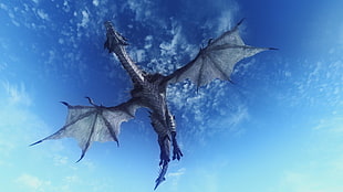 gray flying dragon during daytime HD wallpaper