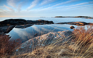 grass field overlooking body of water with islands HD wallpaper