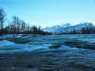landscape photography of lake and trees during winter