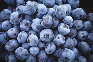 shallow focus photography of blueberries HD wallpaper