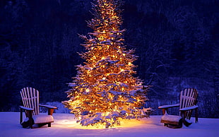 Christmas tree with yellow string lights, Christmas, winter