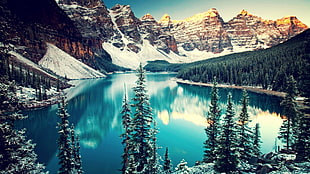 body of water, forest, and snow-covered mountains during daytime HD wallpaper