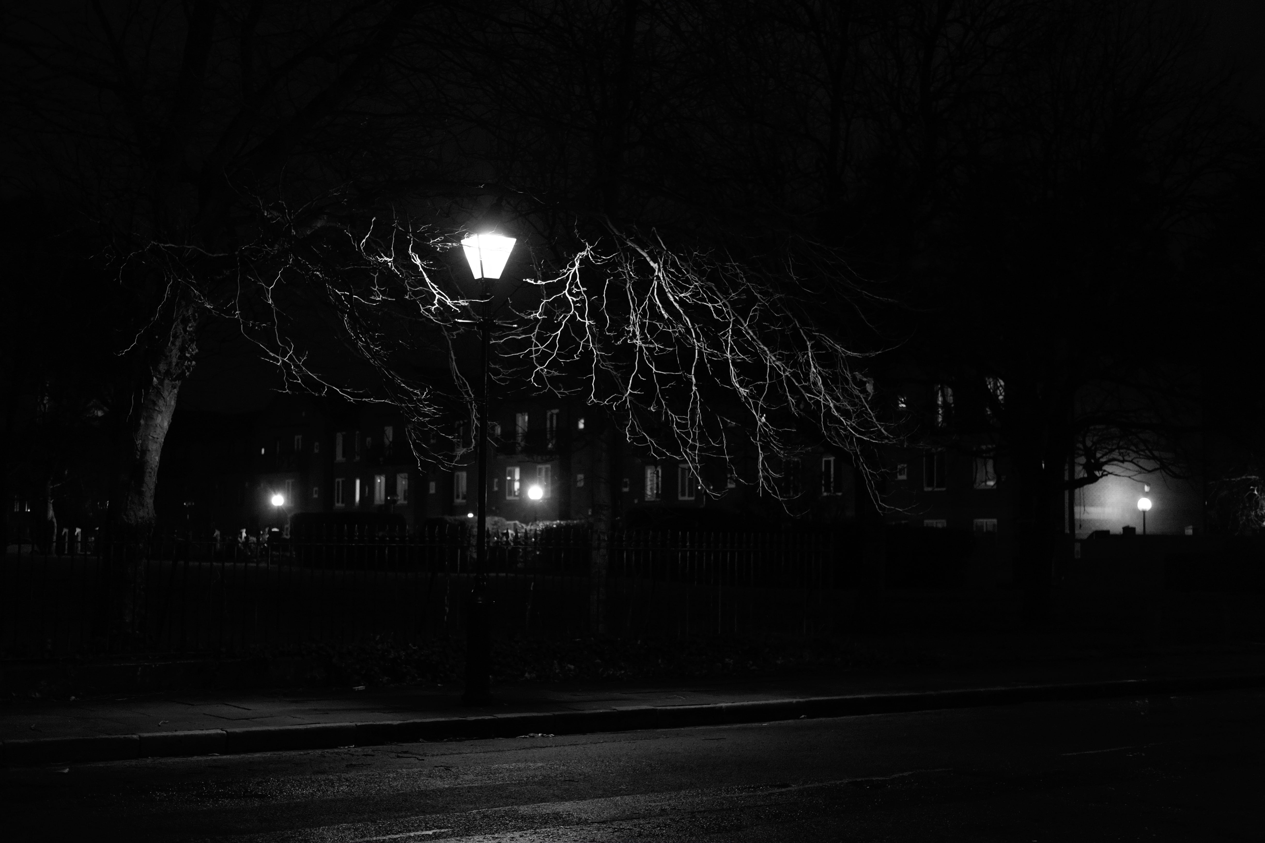 outdoor post, Lantern, Night, Tree