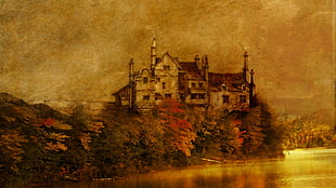 brown and black concrete castle artwork, lake, house, castle, artwork