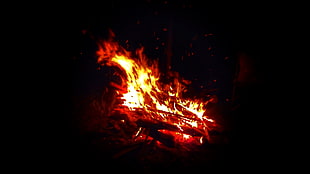 bonfire, fire, nature, dark HD wallpaper