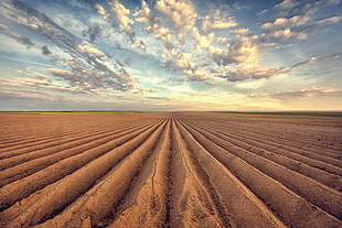 desert landscape, clouds, sky, field, landscape HD wallpaper