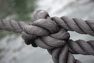 focal photography of tied rope above body of water