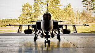 black fighter jet, aircraft, military aircraft, JAS-39 Gripen, Swedish Air Force HD wallpaper