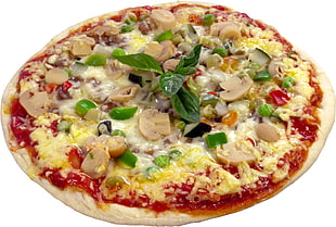 peperroni with mushroom and cheese pizza