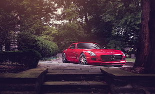 red Mercedes-Benz coupe on top of brown brick path near green foliage trees