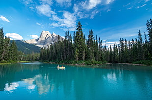 Banff National Park, Canada, Yoho National Park, Canada, trees, lake HD wallpaper