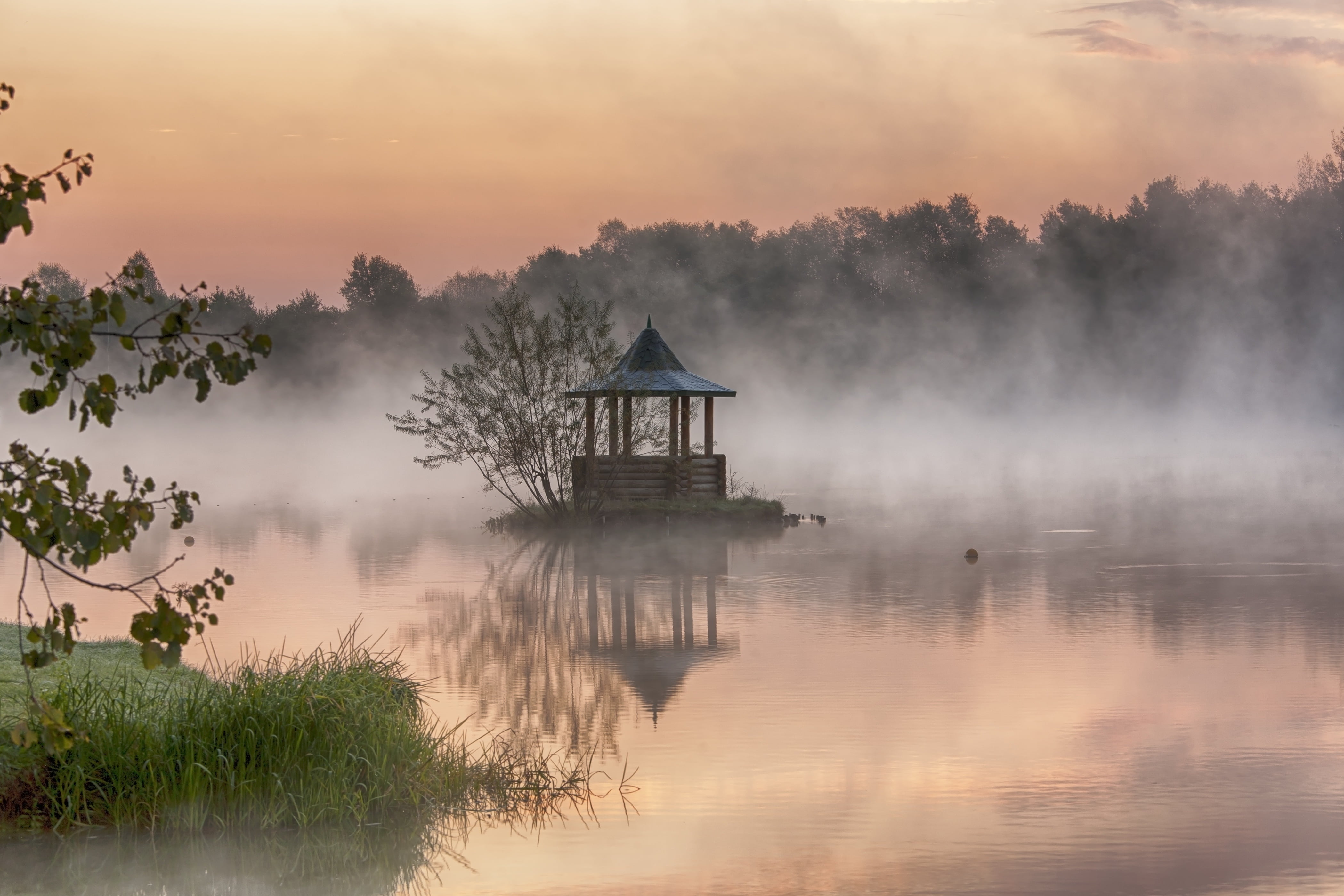 landscape photo of well beside tree surrounded of tank river