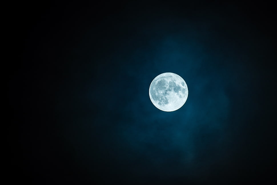 white and grey moon HD wallpaper