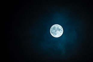 white and grey moon HD wallpaper