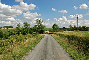 gray asphalt road near green grass field during day time