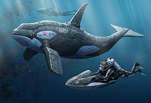 Orca and two diver digital wallpaper