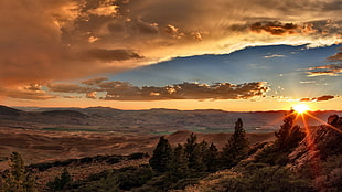 pine trees, sunset, clouds, valley, desert