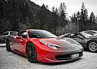 red and black Ferrari 488 coupe, car