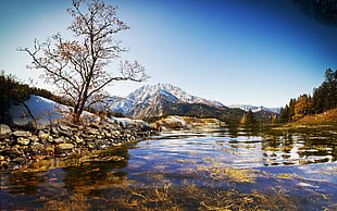 mountain and body of water during daytime