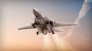 fighter jet illustration, f14, aircraft, airplane, F-14 Tomcat