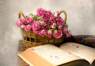 rose, flowers, books, baskets