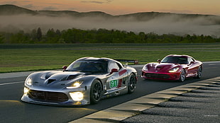 two red and gray supercars, Dodge Viper, Dodge, race cars, car