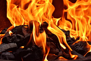 charcoal with fire, Bonfire, Fire, Flame