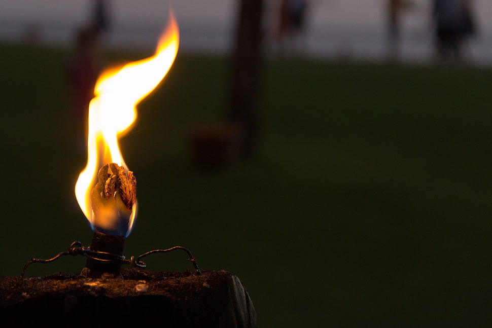 black torch, Fire, Wick, Flame HD wallpaper