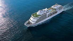 white and gray cruise ship, ship HD wallpaper