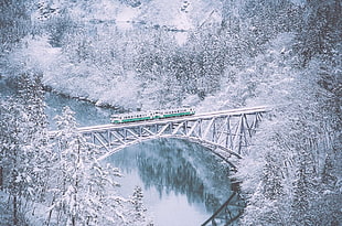 train crossing the bridge HD wallpaper