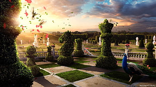 chess piece topiary HD wallpaper