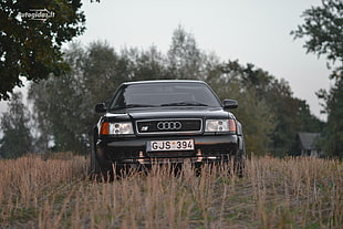 black Audi vehicle surrounded by trees under white sky