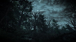 gray cloudy sky, The Witcher 3: Wild Hunt, video games